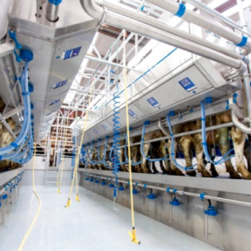 MILKING LINE Turkish System Italian System