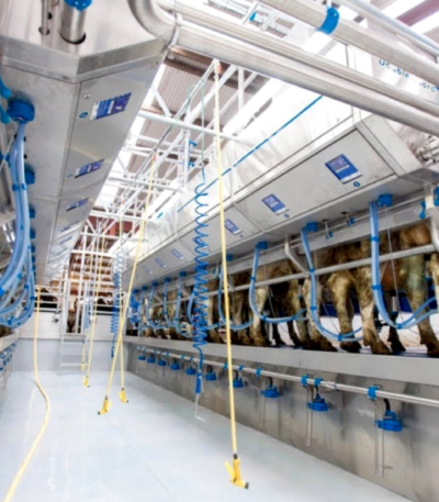 MILKING LINE Turkish System Italian System