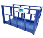 WEIGHT SCALE FOR FATTENING FARM