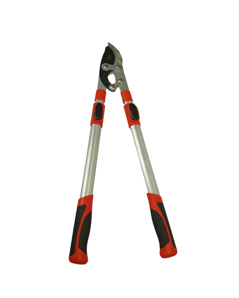 Big Cutter Adjuestable - Image 2