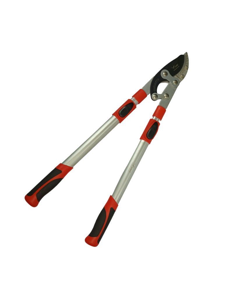 Big Cutter Adjuestable - Image 4