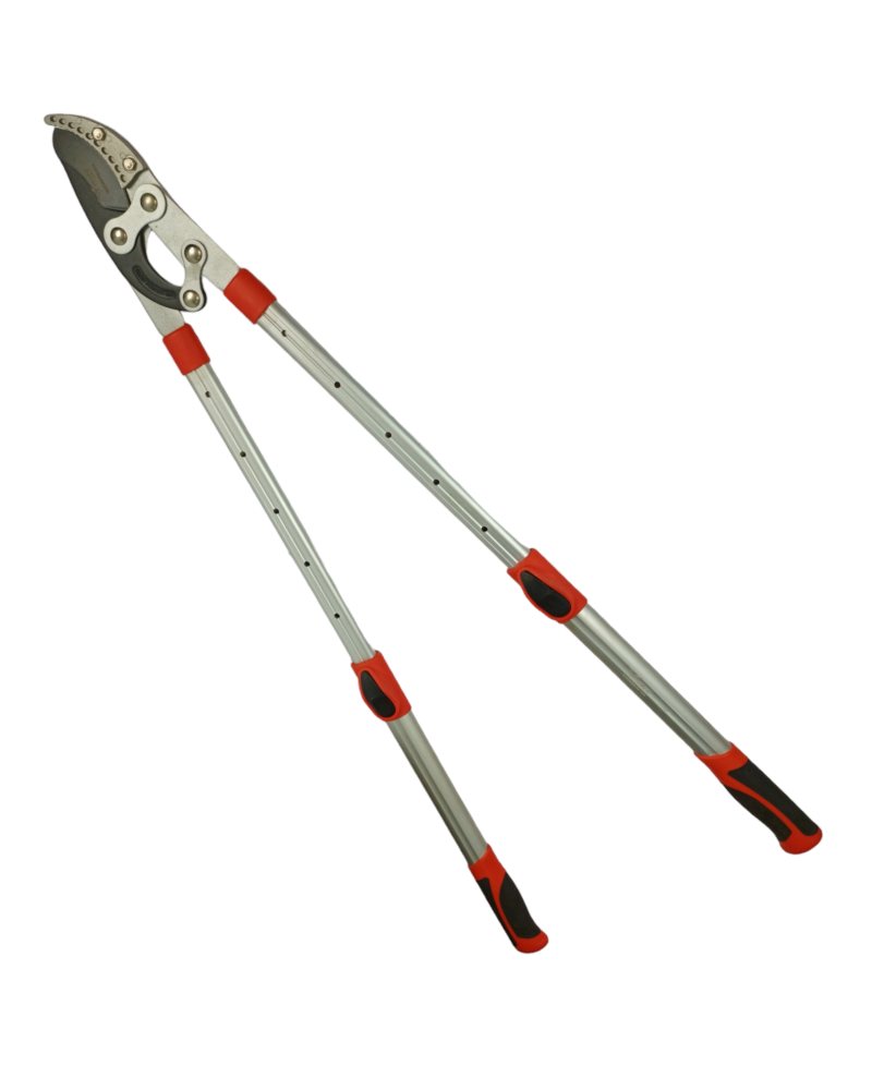 Big Cutter Adjuestable - Image 5