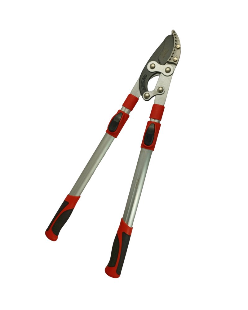 Big Cutter Adjuestable - Image 10