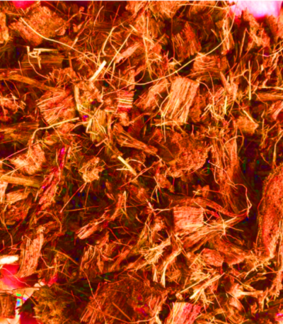 Coco peat Small Packing