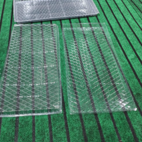 Nursery Tray Imported