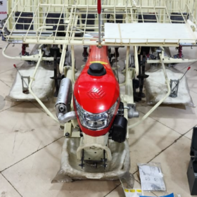 Rice Trans planter 6 Row Walk After