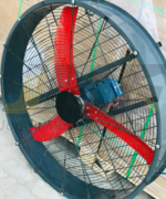 Dairy Fain 48inch Local Italy designe Available In Single & Three Phase With 1HP Motor