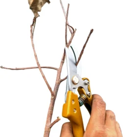 Yasman Yellow C-Cut Pruning Cutter